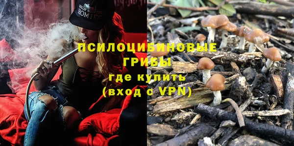 МДПВ Белокуриха